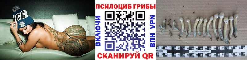 Галлюциногенные грибы Psilocybine cubensis  Купить где  Дигора 